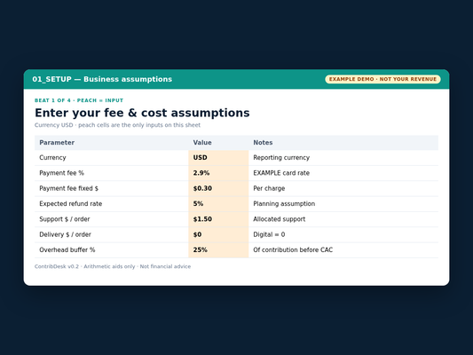 Workbook demo EXAMPLE — 01 SETUP peach INPUT assumptions